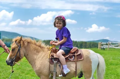 عکس سوارکاری بر روی پونی: تجربه ای شگفت انگیز برای کودکان