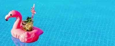 عکس موجی تازه و خوشمزه در استخر با فلامینگو صورتی و حس تعطیلات