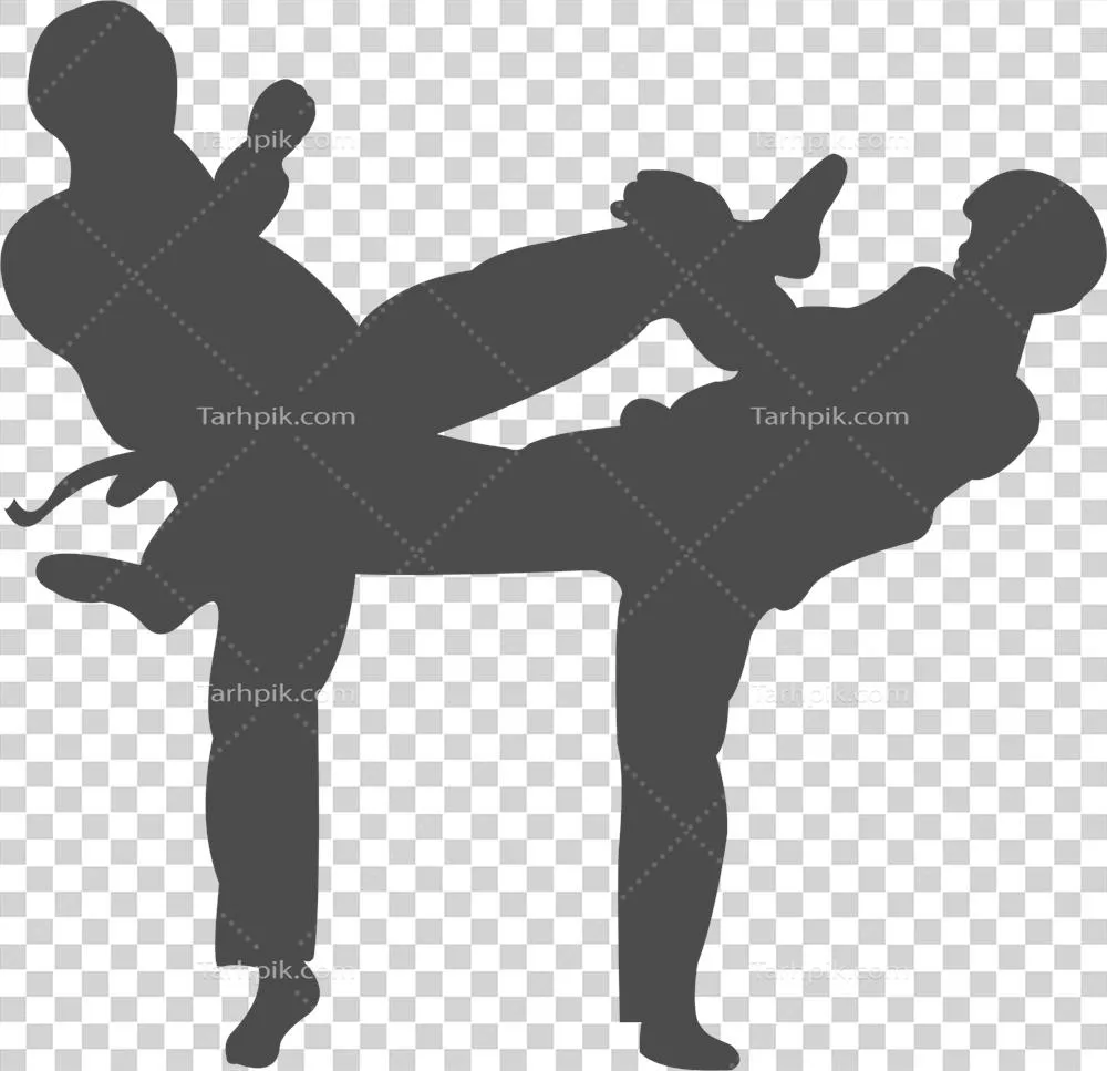 عکس دوربری تصویر سیاه و سفید از حرکات زیبای تکواندو در حالت سیلوئت