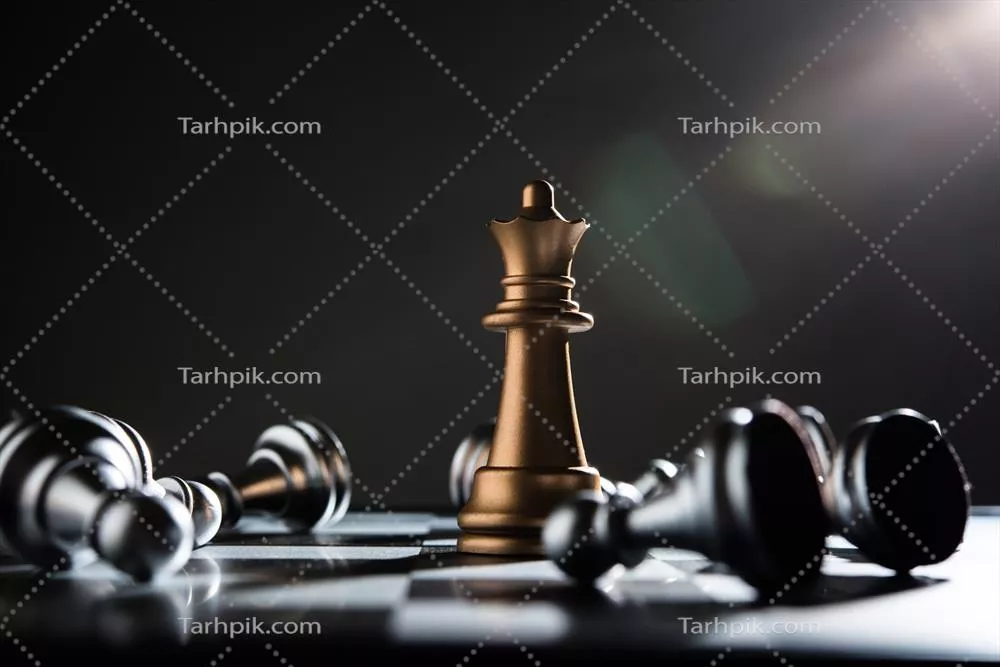 عکس چیدمان شطرنجی شاه و سوار بر روی پس زمینه تاریک
