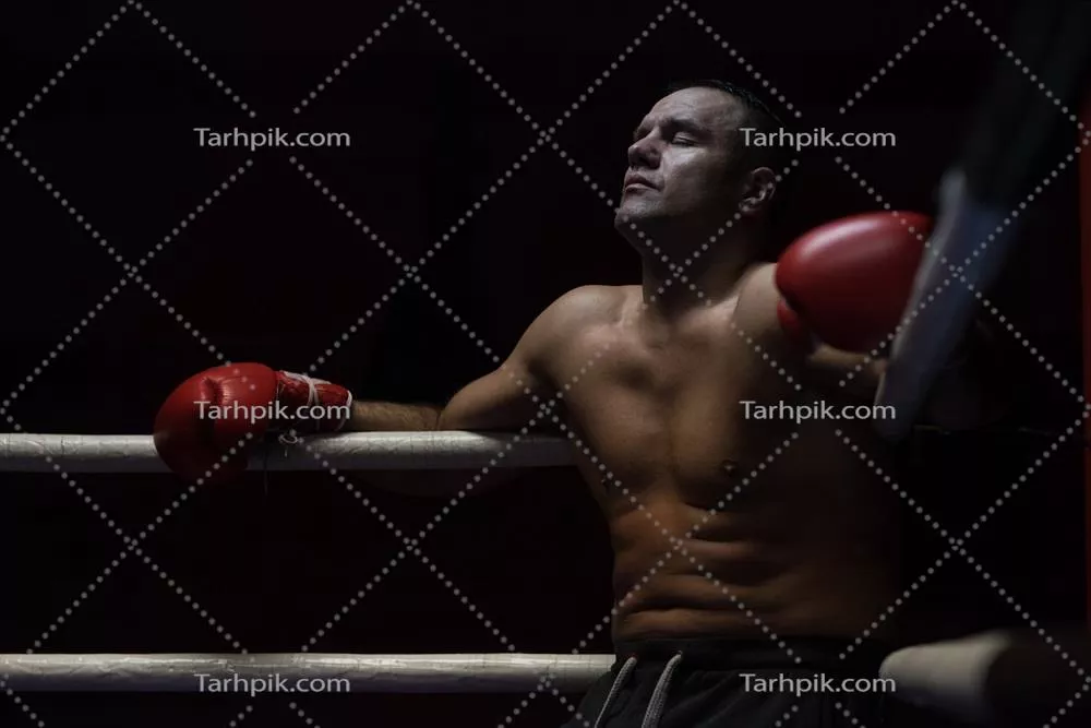 عکس مرد کیک باکسری که در گوشه رینگ استراحت می کند و به دوربین نگاه می کند