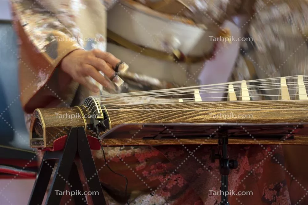 عکس آشنایی با کتو، ساز سنتی ژاپنی و زیبایی های آن