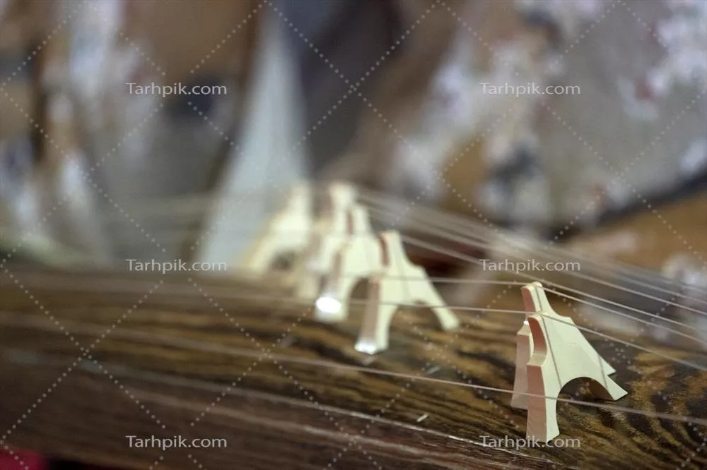 عکس آشنایی با کتو، ساز سنتی ژاپنی و زیبایی های آن