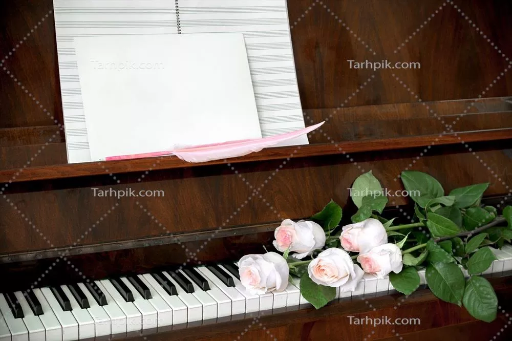 عکس ترکیب زیبای پیانو و دسته گل پنج گل رز صورتی کمرنگ بر روی کاغذ نت موسیقی