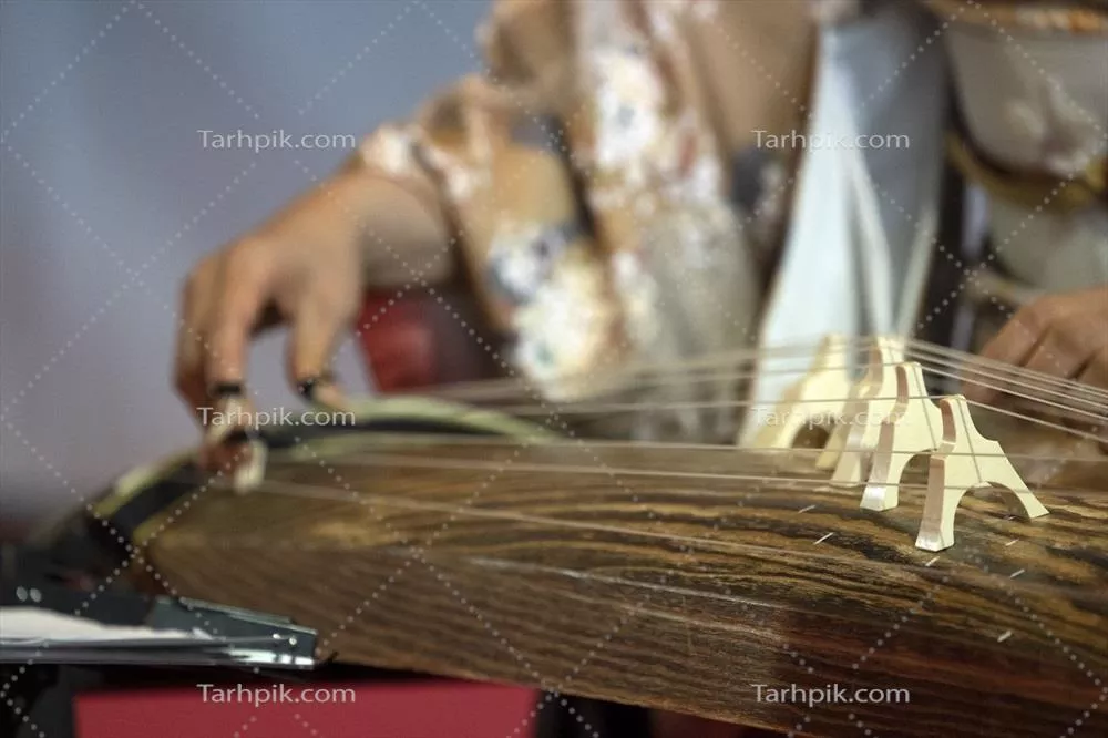 عکس آشنایی با کتو، ساز سنتی ژاپنی و زیبایی های آن