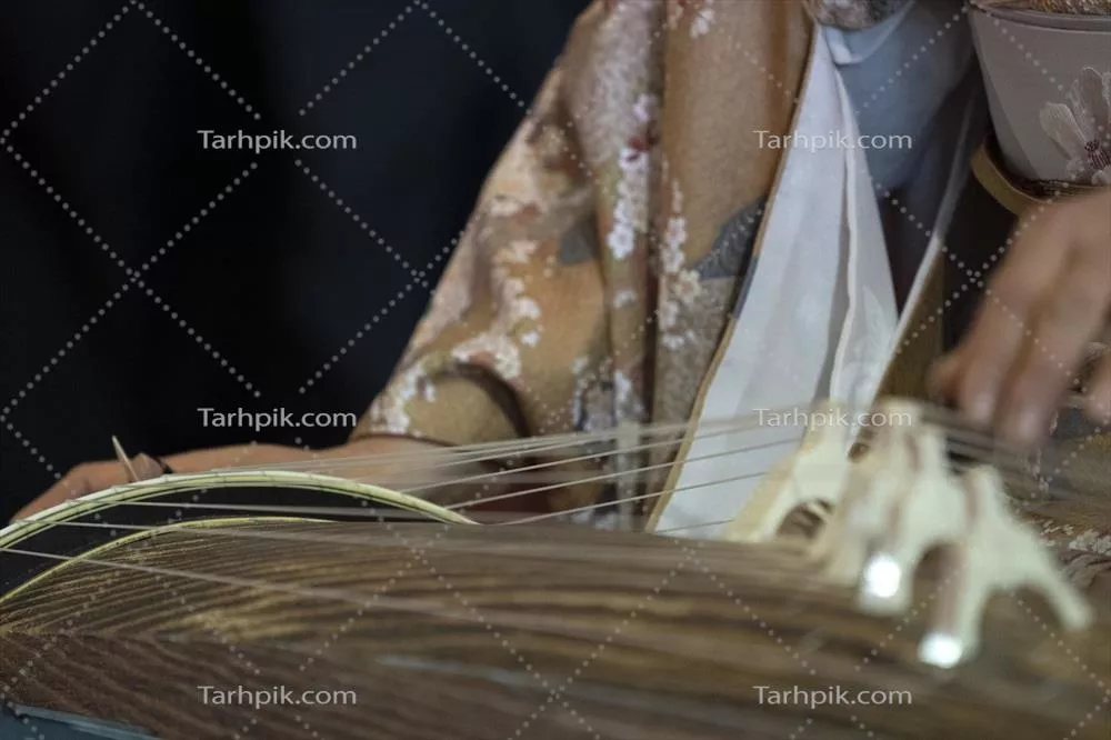 عکس آشنایی با کتو، ساز سنتی ژاپنی و زیبایی های آن