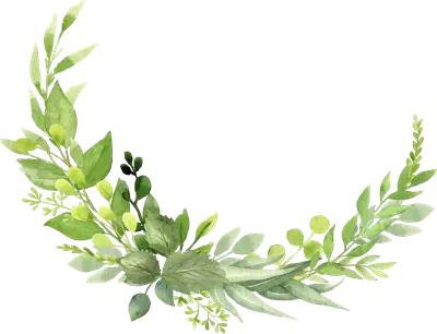 عکس دوربری تصویر زیبای گل و گیاه با طراحی آبرنگی و تاج سبز برای دعوتنامه ها و کارت های تبریک