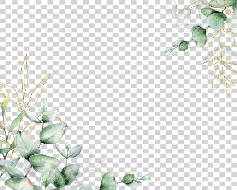 عکس دوربری قاب آبرنگی با طراحی اکالیپتوس برای دعوتنامه های عروسی و کارت های تبریک