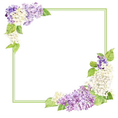 عکس دوربری قاب مربعی زیبا با رنگ بنفش و گل های بهاری برای مناسبت های خاص