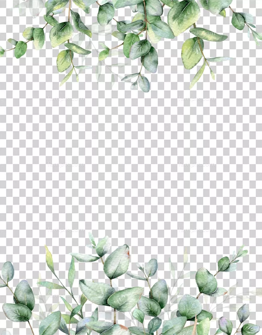 عکس دوربری قاب آبرنگی با طراحی اکالیپتوس برای دعوتنامه های عروسی و کارت های تبریک