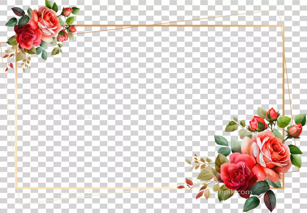 عکس دوربری قاب طلایی زیبا با گل های رز در طراحی آبرنگی و هنری