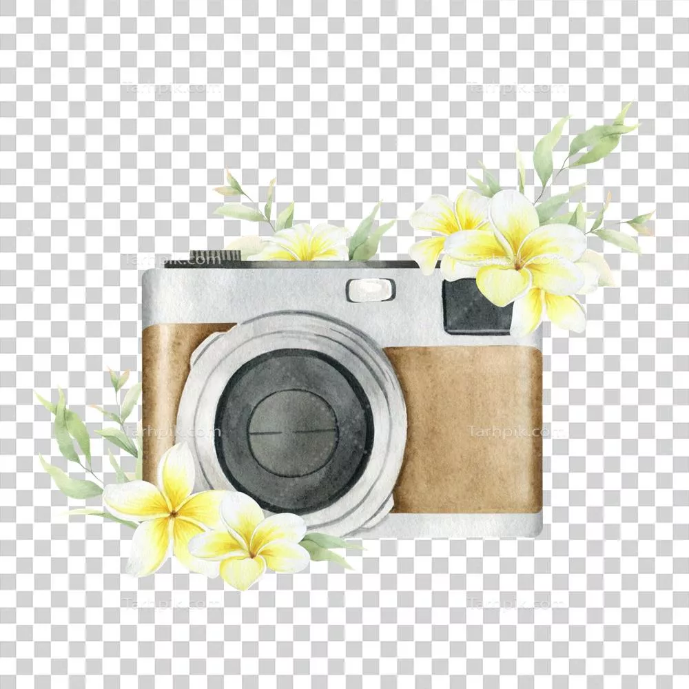 عکس دوربری عکاسی با دوربین قدیمی و گل های سفید و برگ های سبز در طراحی آبرنگی
