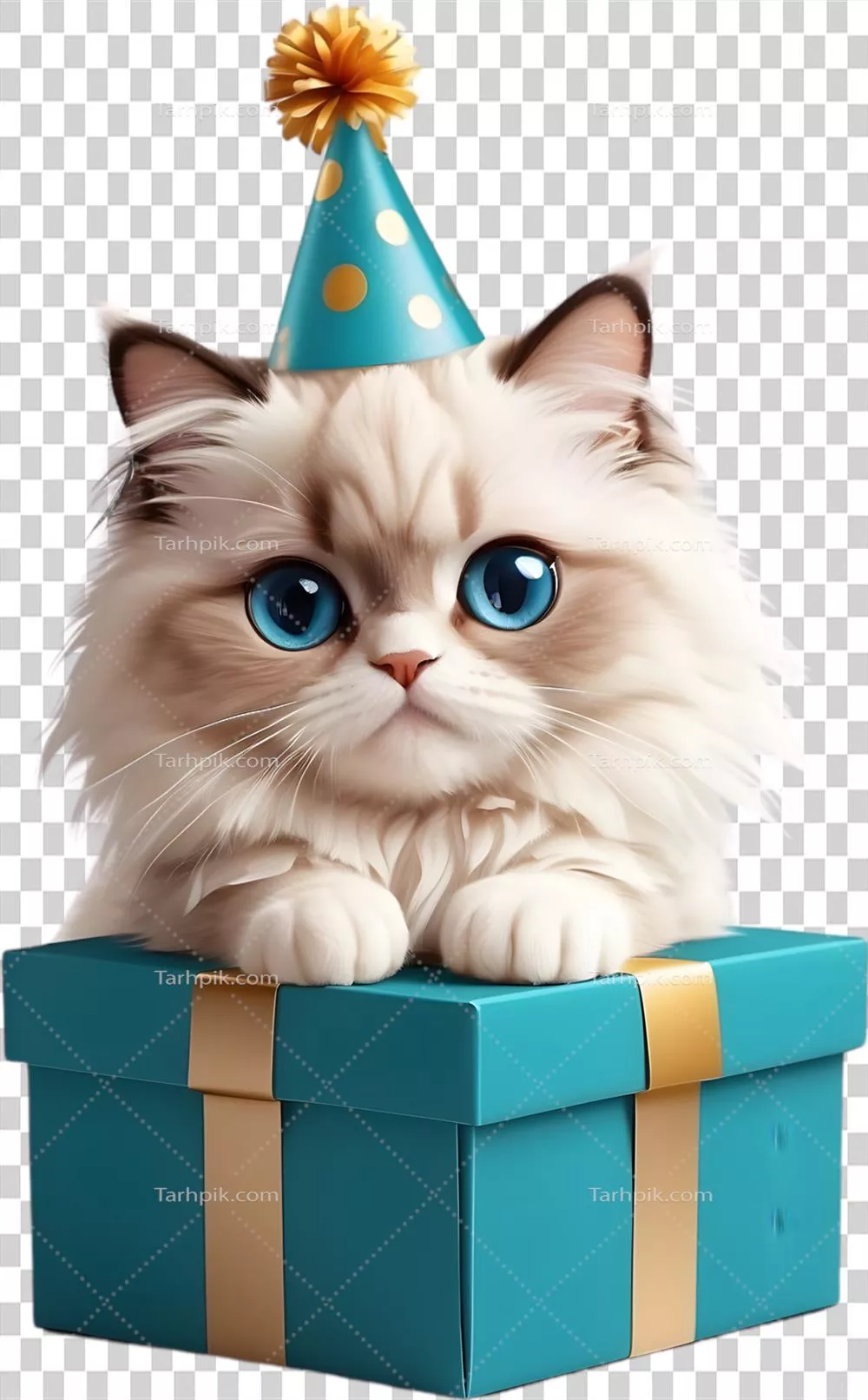 عکس دوربری گربه ای شاد با کلاه جشن و جعبه هدیه برای تولد شما