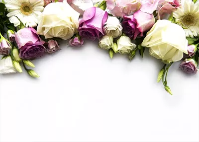 عکس چیدمان زیبا و هنرمندانه گل ها در یک قاب هنری