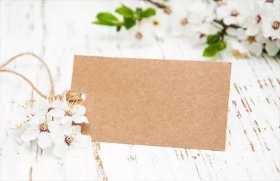 عکس بهار و شکوفه های گیلاس: زیبایی طبیعت در پس زمینه چوبی