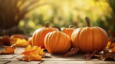 عکس کدو حلوایی مصنوعی در پس زمینه ای آفتابی و پاییزی با برگ های رنگارنگ