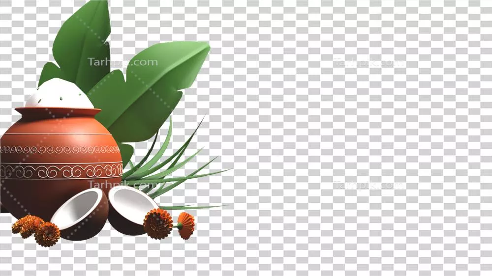 عکس دوربری تصویری زیبا از برنج پنگالی در دیگ گلی با گل های نارنجی و برگ موز