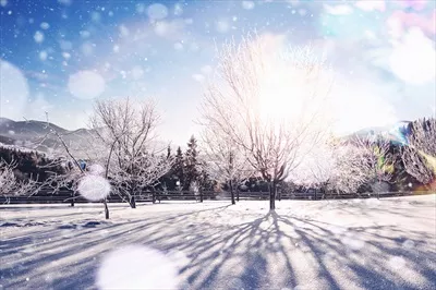 عکس منظره زمستانی با درختان و نرده در پس زمینه یخ زده و برف نشسته
