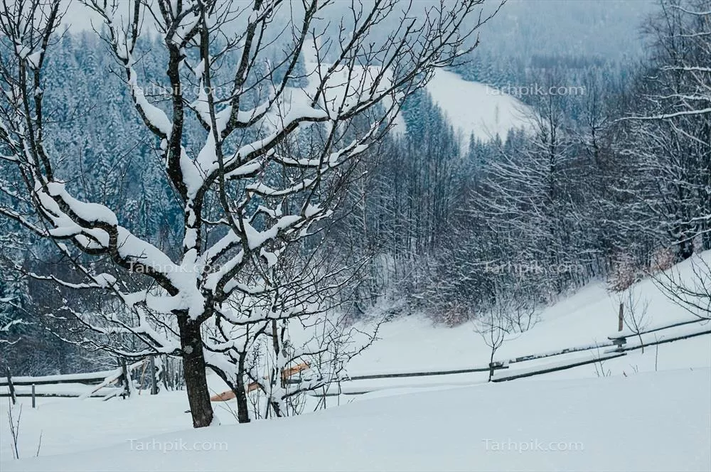 عکس منظره زیبای زمستانی در دامنه برفی کوهستان با ابرهای خاکستری
