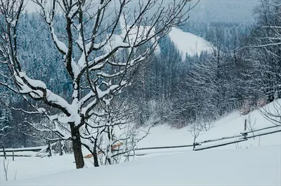 عکس منظره زیبای زمستانی در دامنه برفی کوهستان با ابرهای خاکستری