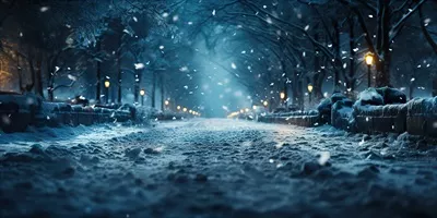 عکس تصویری زیبا از طبیعت زمستانی با درختان پوشیده از برف و جاده ای آرام