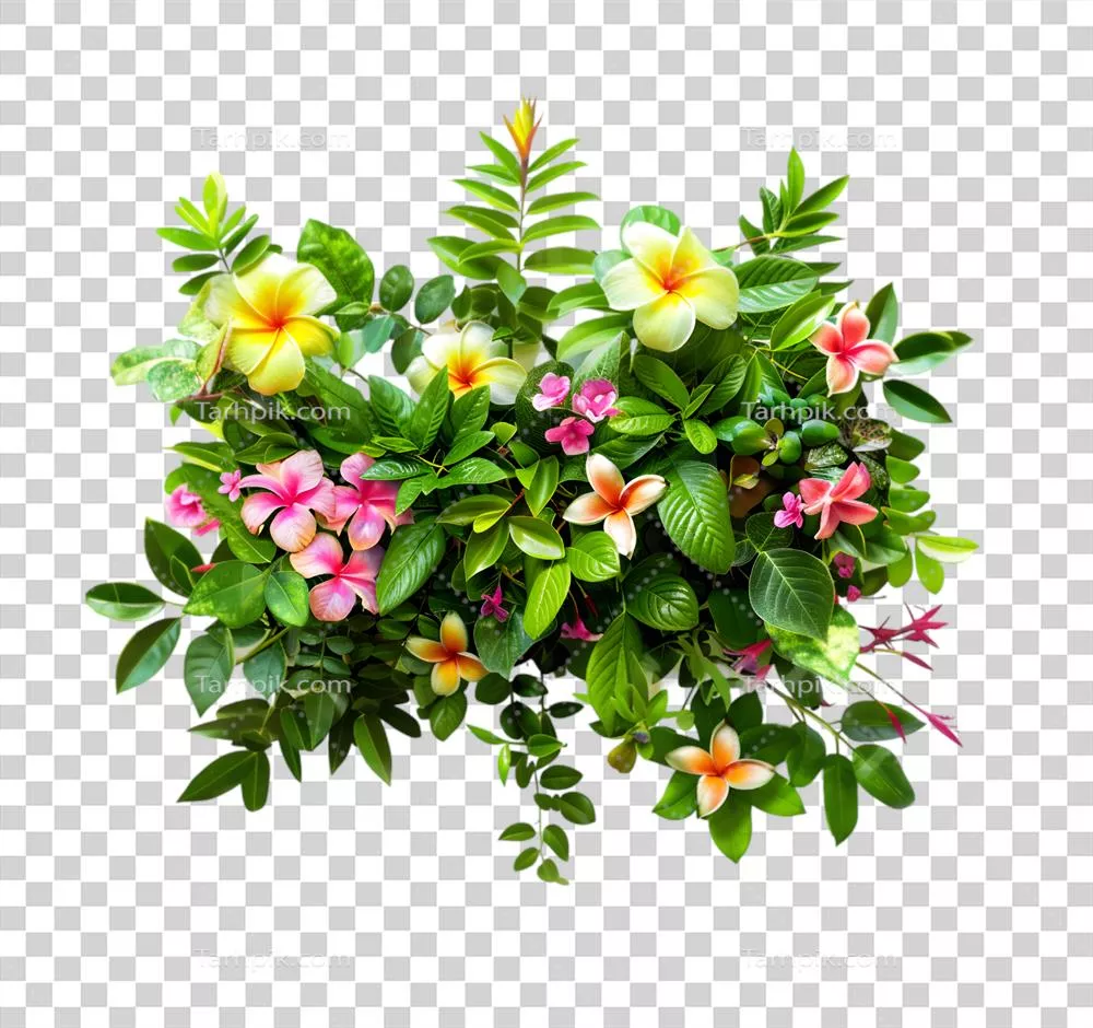 ترکیب گل استوایی متنوع و جذاب بر روی زمینه شفاف