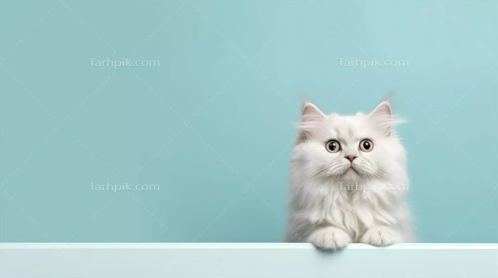 پس‌زمینه خالی با تصویر نقاشی شده گربه به روش هوش مصنوعی