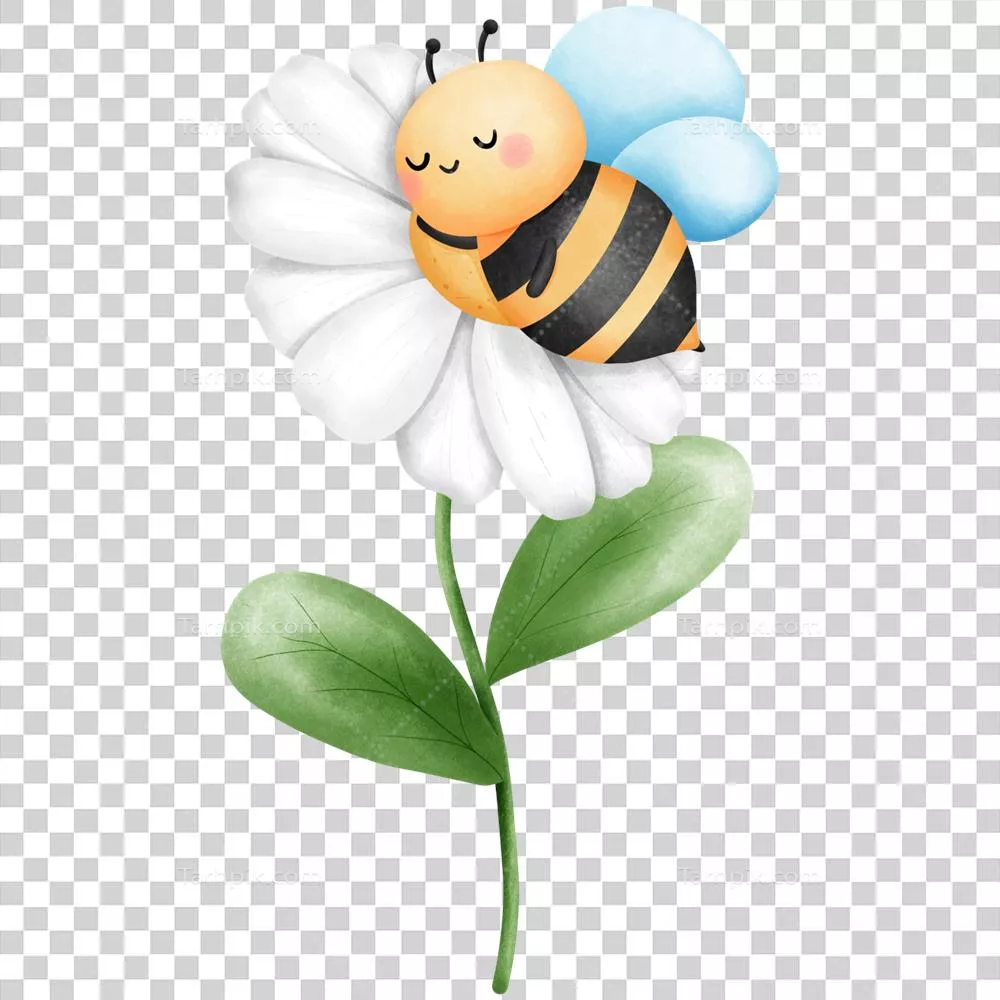 تصویری زیبا از زنبور خوابیده روی گل داودی سفید به سبک آبرنگ و آثار هنری گیاهی