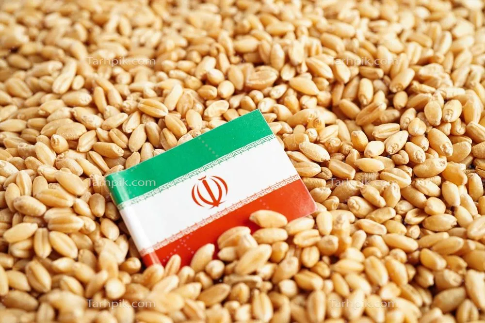 پرچم ایران بر روی دانه گندم: مفهوم تجارت، صادرات و اقتصاد