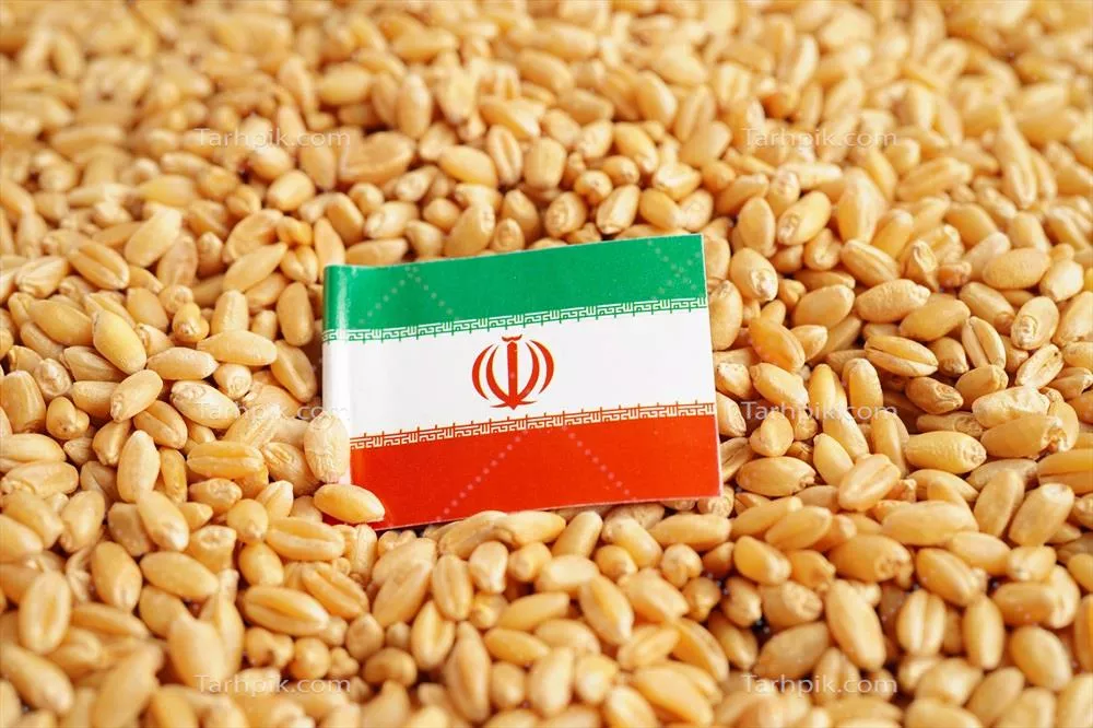 پرچم ایران بر روی گندم و مفهوم تجارت و صادرات در اقتصاد