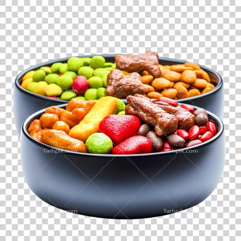 غذاهای رنگارنگ و متنوع برای حیوانات خانگی و تغذیه آنها