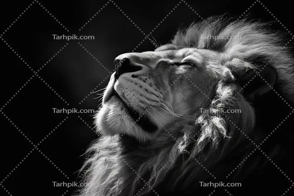 پرتره‌ای جذاب و نزدیک از شیر با استفاده از تکنولوژی هوش مصنوعی نسل‌ساز
