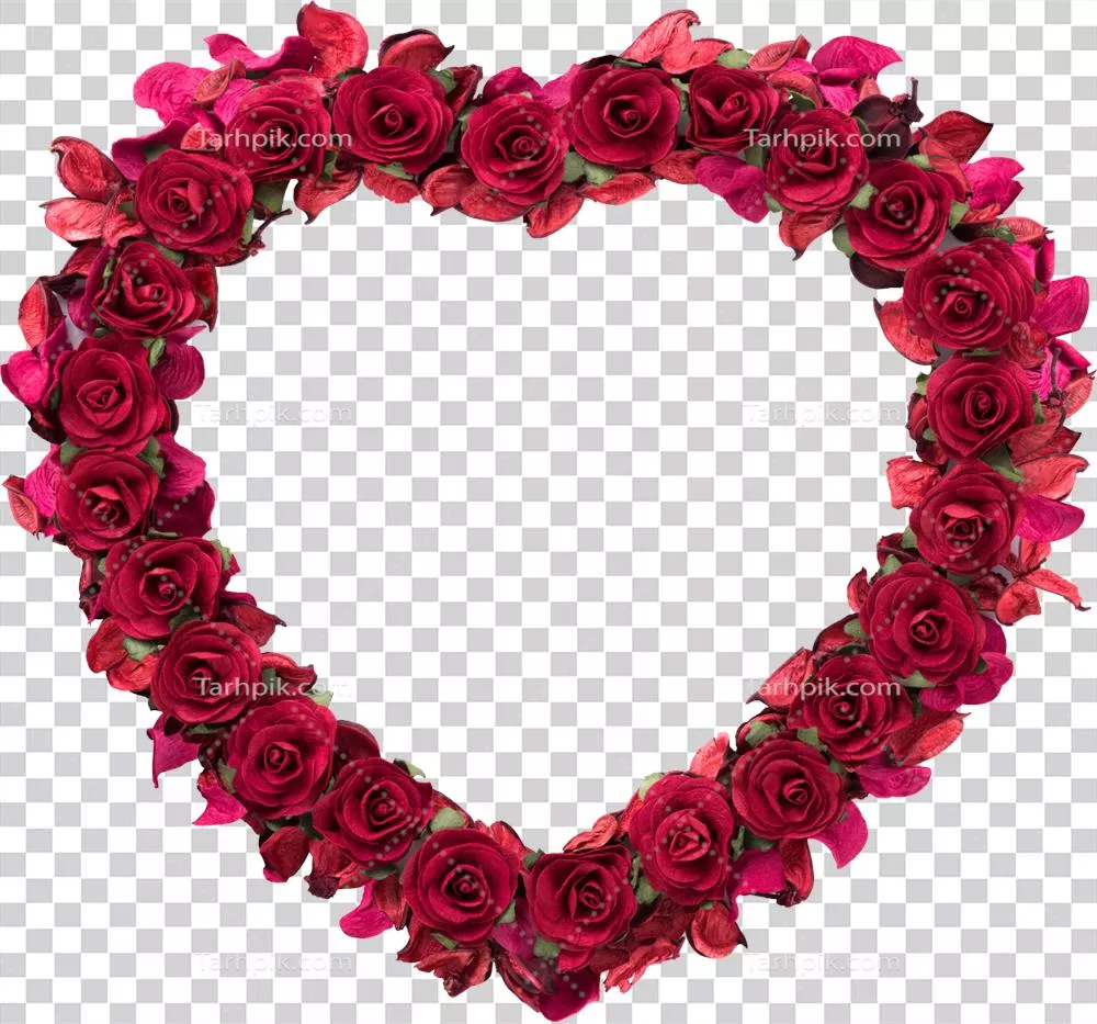 گل رز قلبی شکل برای مراسم عروسی و روز ولنتاین الهام بخش عشق