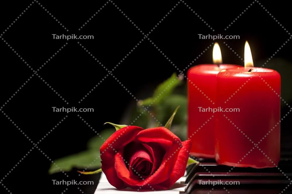 شاخه گل سرخ روی کلاویههای پیانو: لحظات عاشقانه