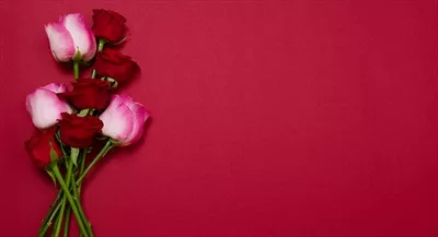 تصویر گل های رز بر روی پس زمینه قرمز - ایده ای برای روز مادر و ولنتاین