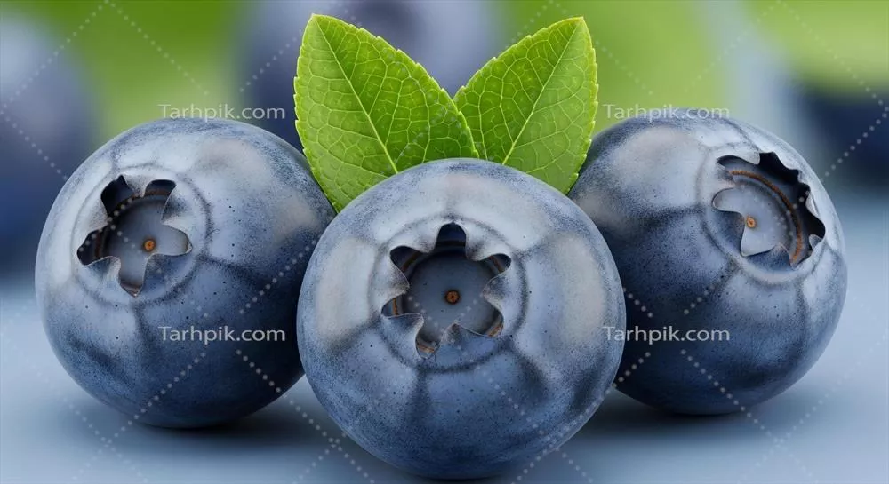 سه توتبلوبری رسیده با برگهای سبز بر روی سطح آبی روشن با پسزمینه محو