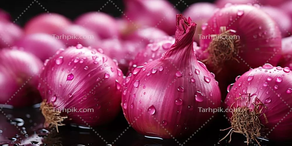 آثار هنری گرافیکی خلاقانه با موضوع بازاریابی و تبلیغات پیازهای ارگانیک و سالم