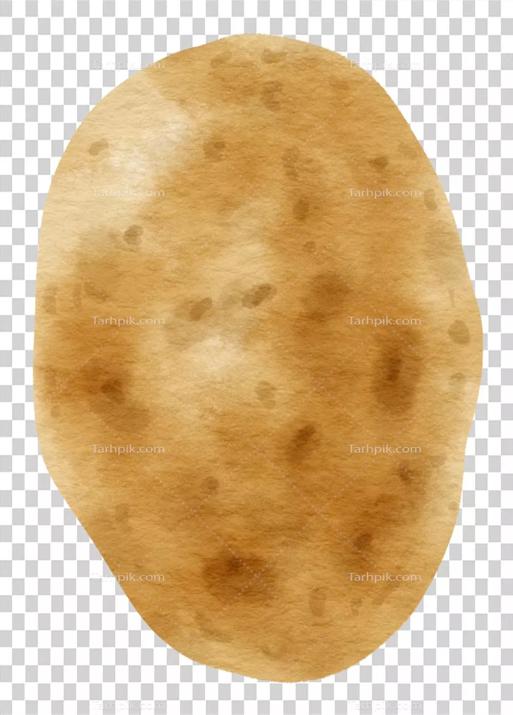 تصویرگری آبرنگی از سیب‌زمینی به‌عنوان یک سبزی ریشه‌ای