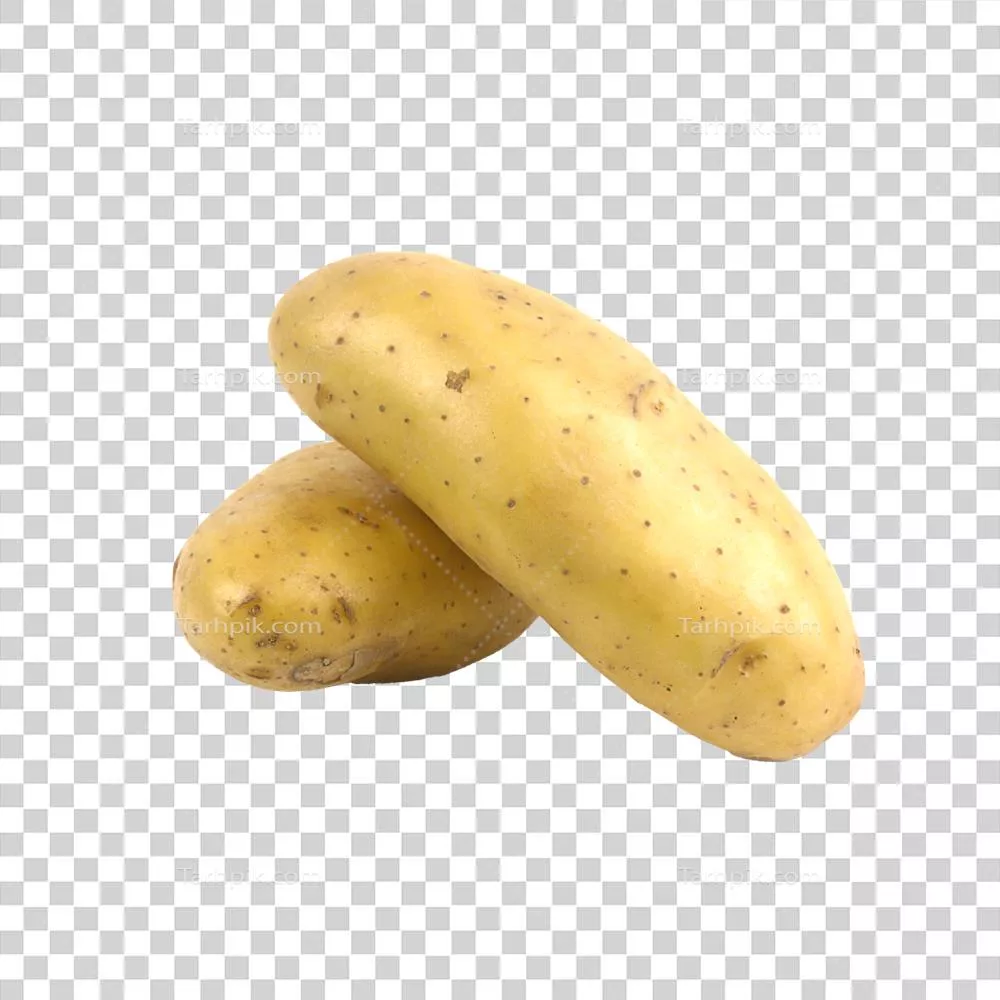 سیب‌زمینی تازه (سالanum tuberosum) بر روی پس‌زمینه سفید جدا شده است