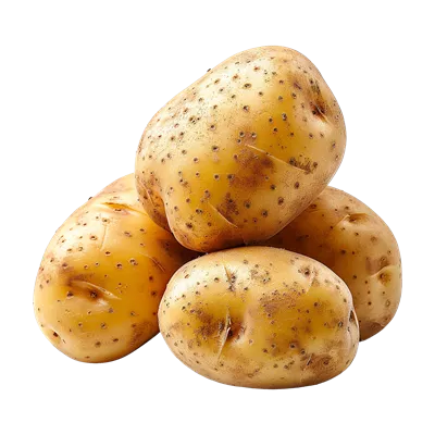 سیبزمینیهای جدا شده روی پسزمینه شفاف