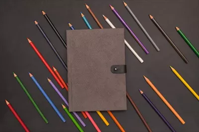 کتاب و مداد رنگی: مفاهیم مربوط به بازگشت به مدرسه و آموزش