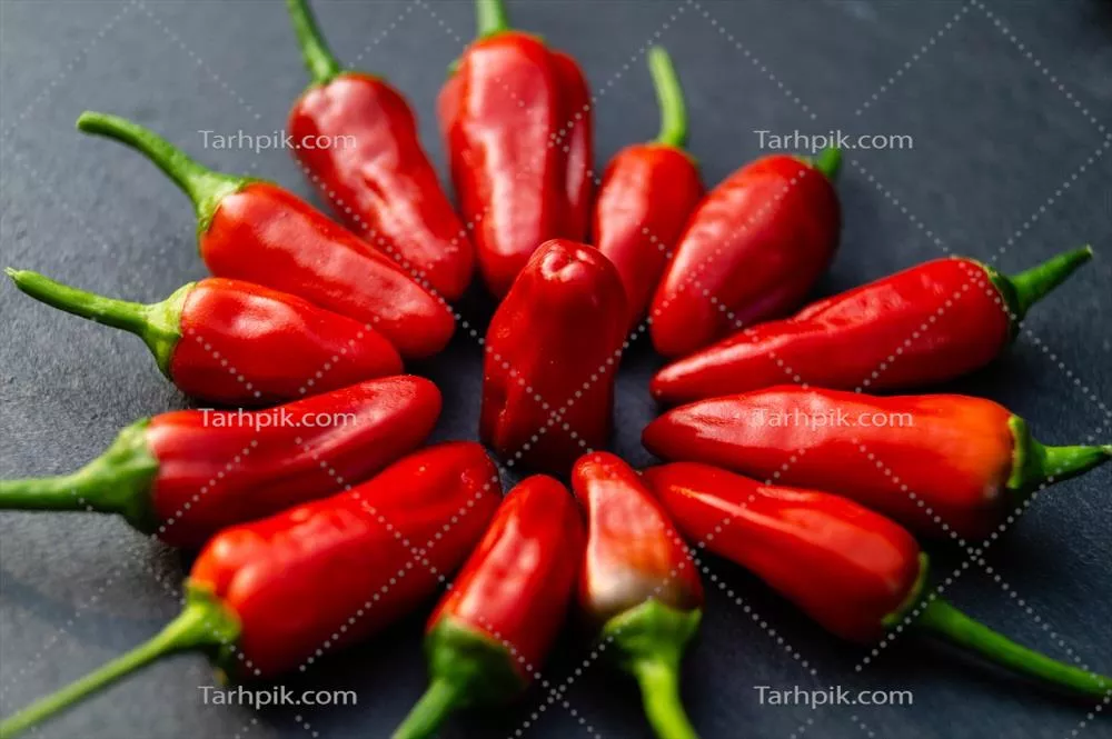 فلفل قرمز تند: گیاهی با طعم تند و گرم برای آشپزی