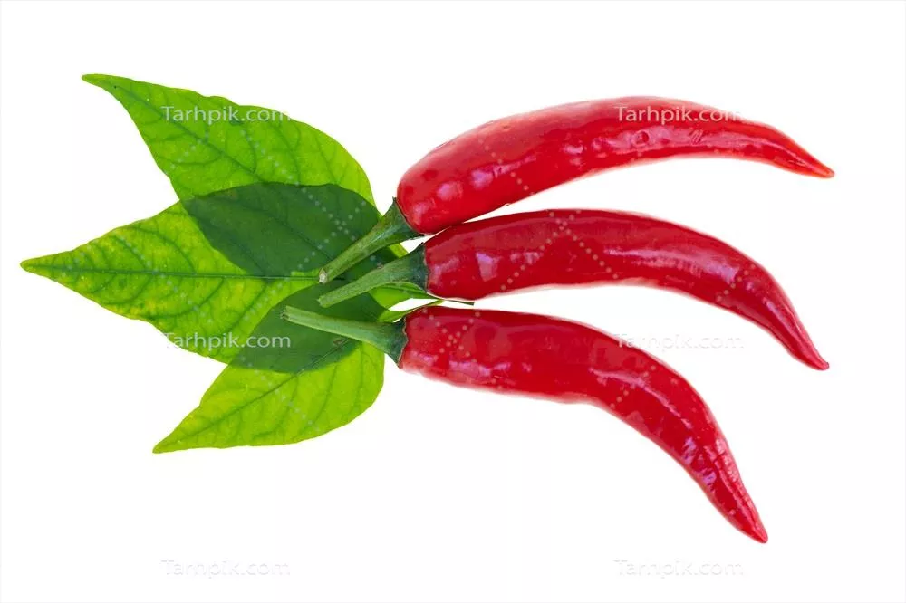 نگاهی نزدیک به فلفل قرمز داغ و تند نوع اسپری