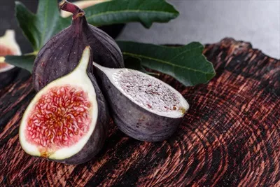خوردن انجیر تازه و رسیده بر روی پسزمینه بتن تیره در زمان برداشت