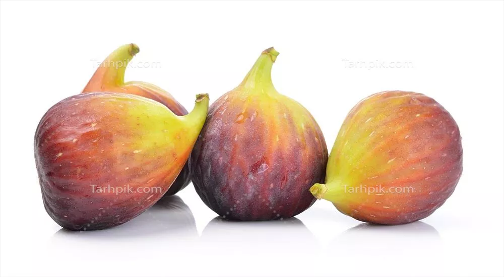 بررسی خواص و ویژگیهای خرما بر روی پسزمینه سفید