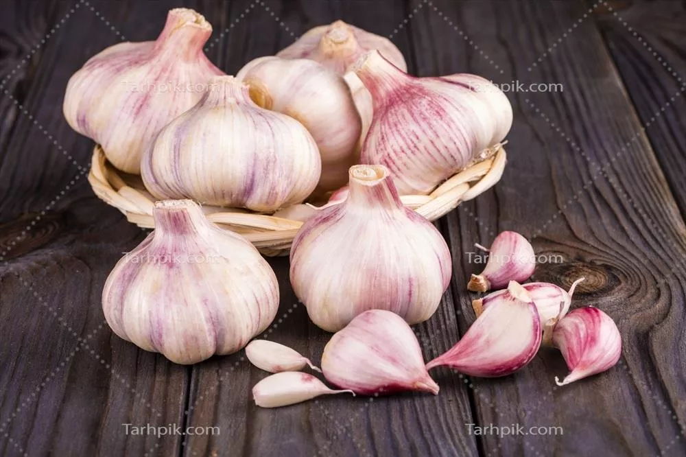 بررسی و معرفی خواص و کاربرد سیر در آشپزی و سلامت
