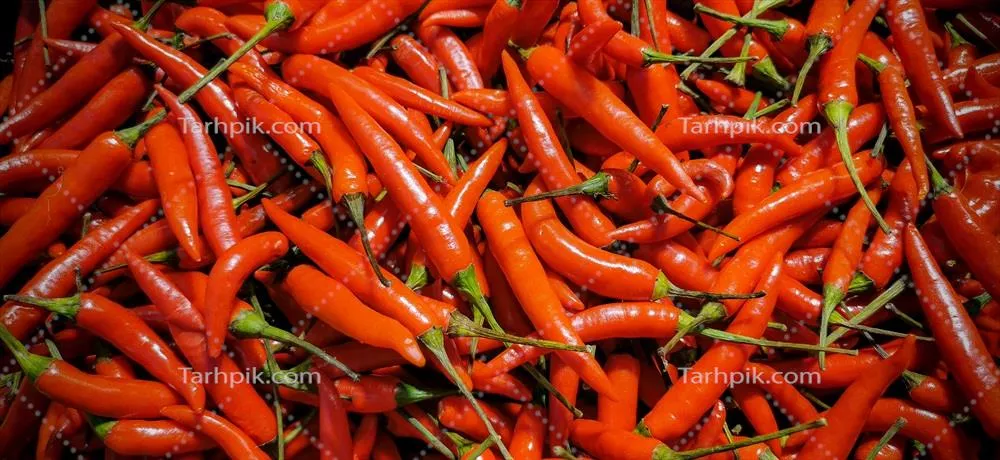 بافت و پسزمینه فلفل چیلی چیلای داغ قرمز نوعی فلفل تایلندی برای آشپزی تایلندی