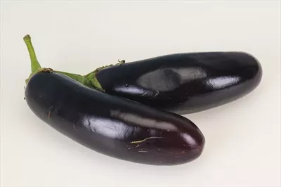 بادمجان رسیده و تازه در پسزمینه سفیدی ایزوله شده است