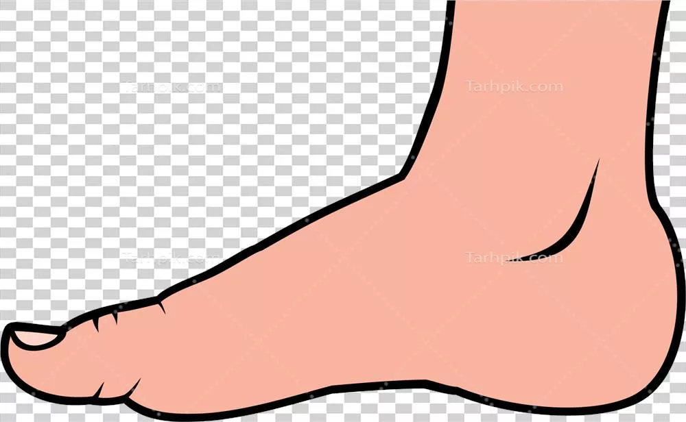 تصویری هنری از پای انسان ایستاده در حالت طبیعی و واقعی