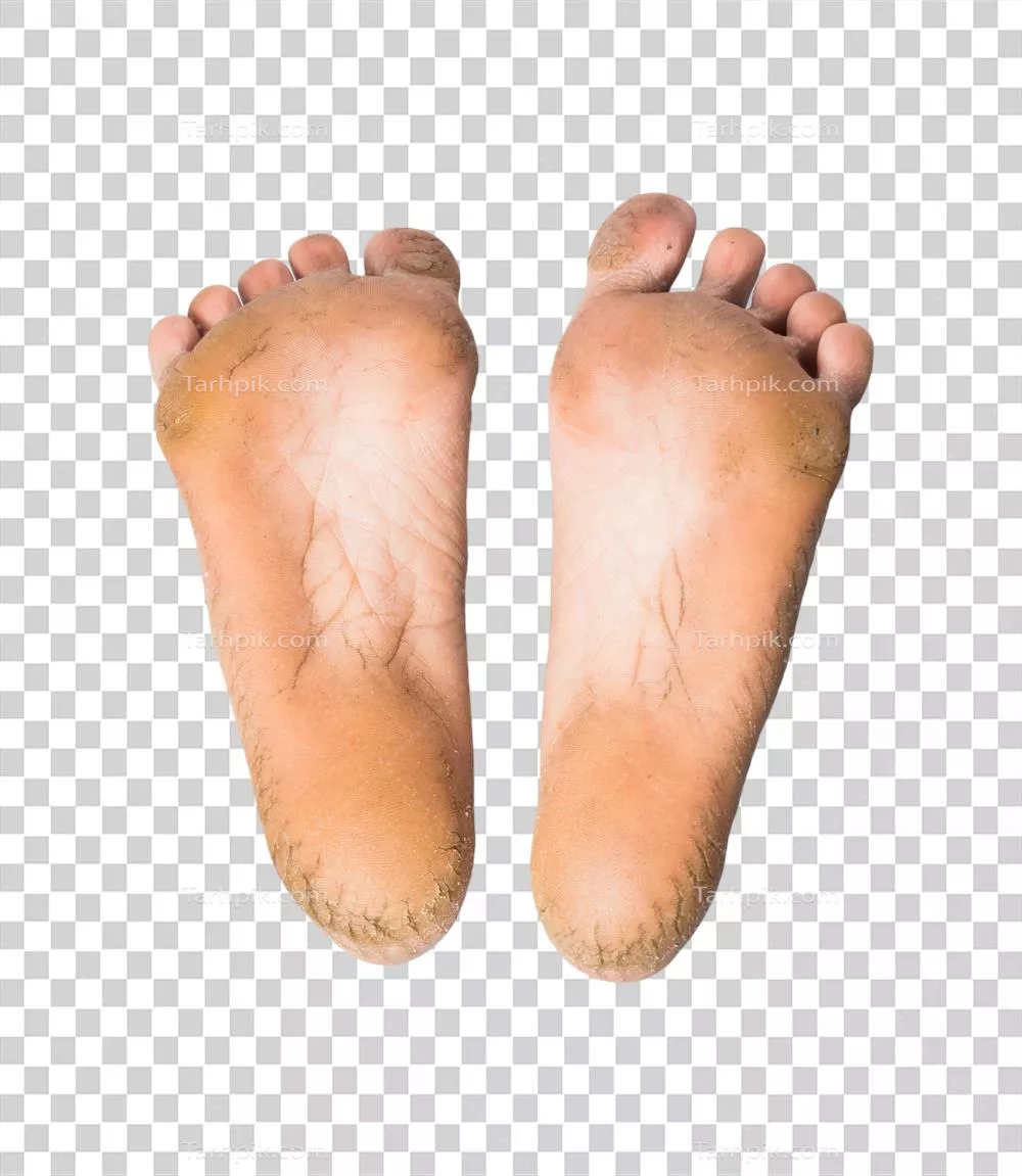 پای برهنه یا یک جفت پا بر روی پس‌زمینه‌ای ایزوله